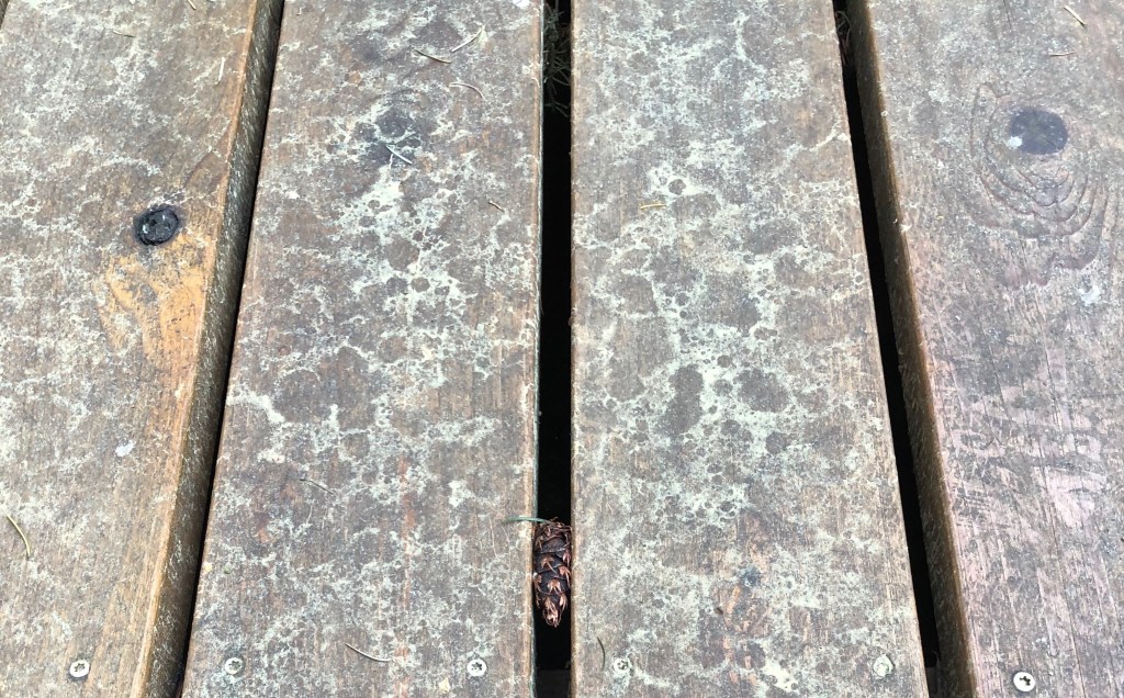 Wood deck with pollen puddles