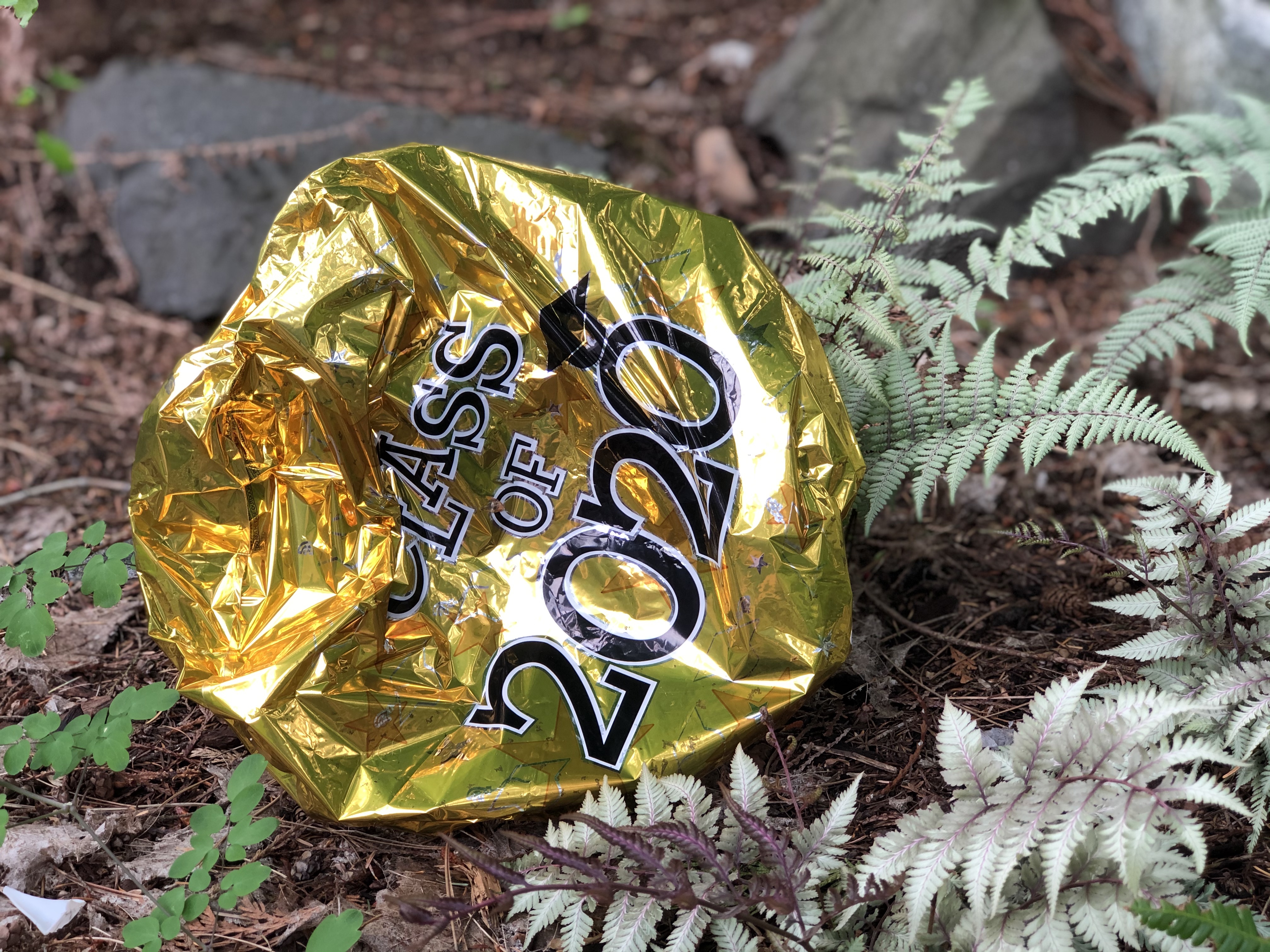 Deflated Mylar balloon saying, “Class of 2020” on the ground in our garden